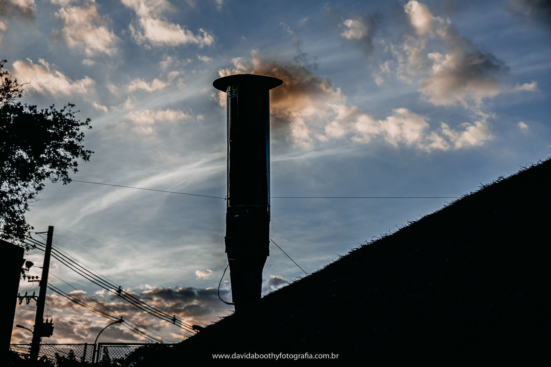 Foto Netão - Imagem 5