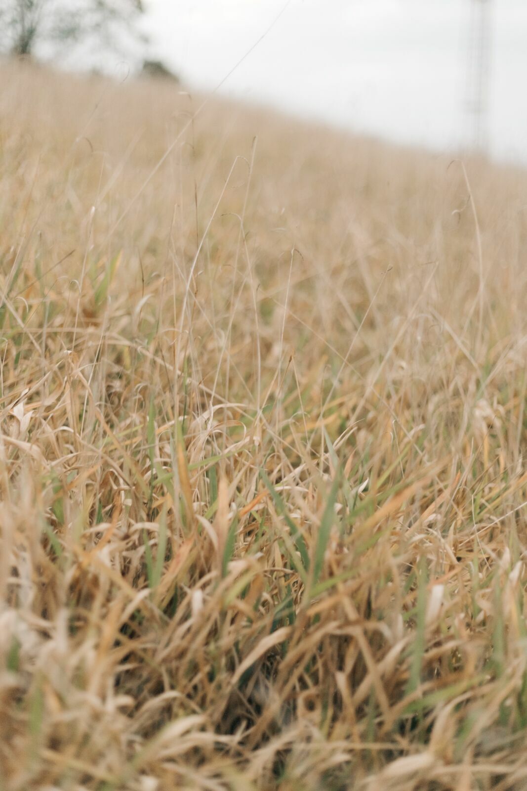 Foto Uma tarde linda com Bia & Lippe  - Imagem 0