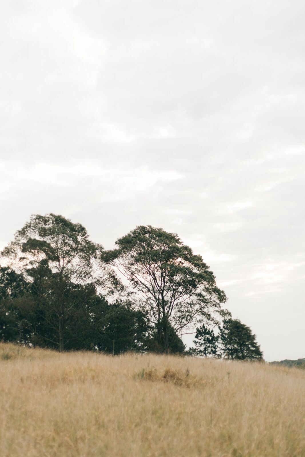 Foto Uma tarde linda com Bia & Lippe  - Imagem 78
